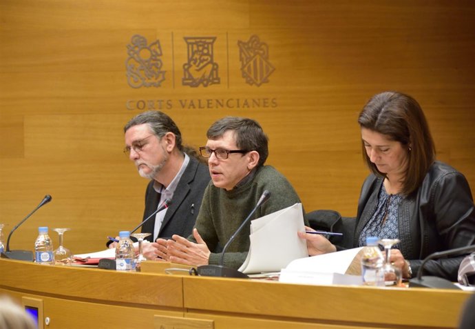 Sindicalista de SIF en FGV en la Comisión del Metro en las Corts