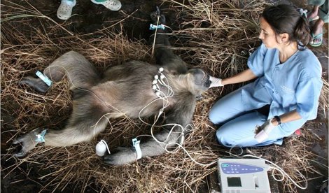 Cooperación y Desarrollo