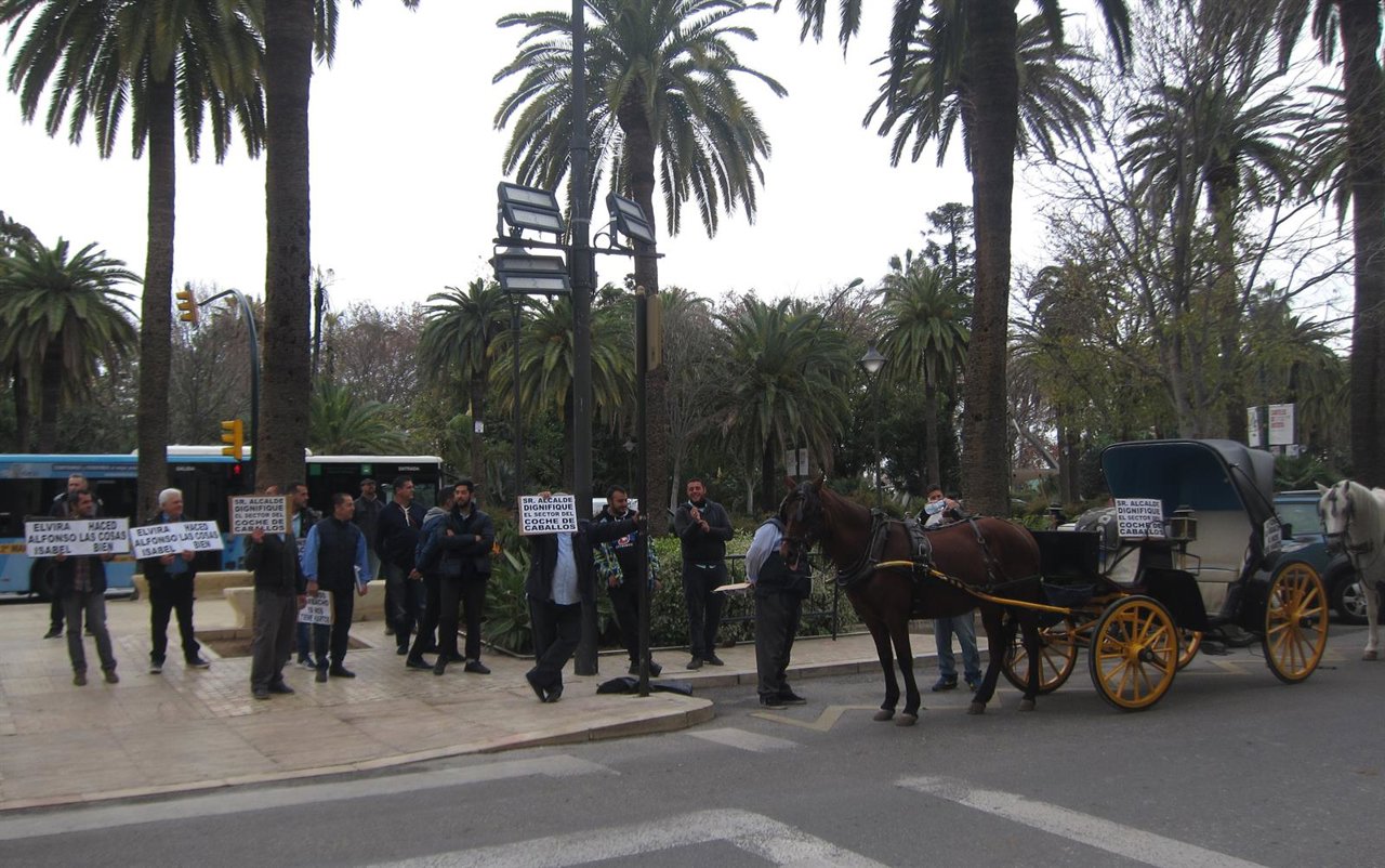 Concentración coches de caballos cocheros Málaga