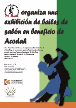 Cartel de la exhibición de bailes de salón en la Diputación