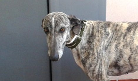 Cooperación y Desarrollo