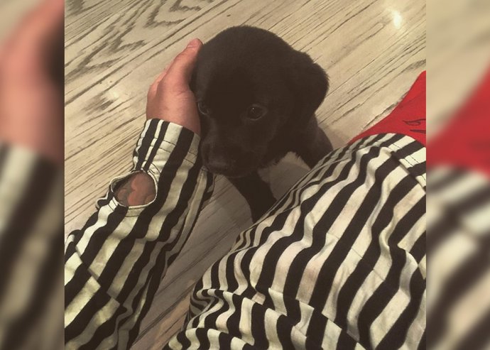 Justin Bieber presume de nuevo miembro de su familia: Phil