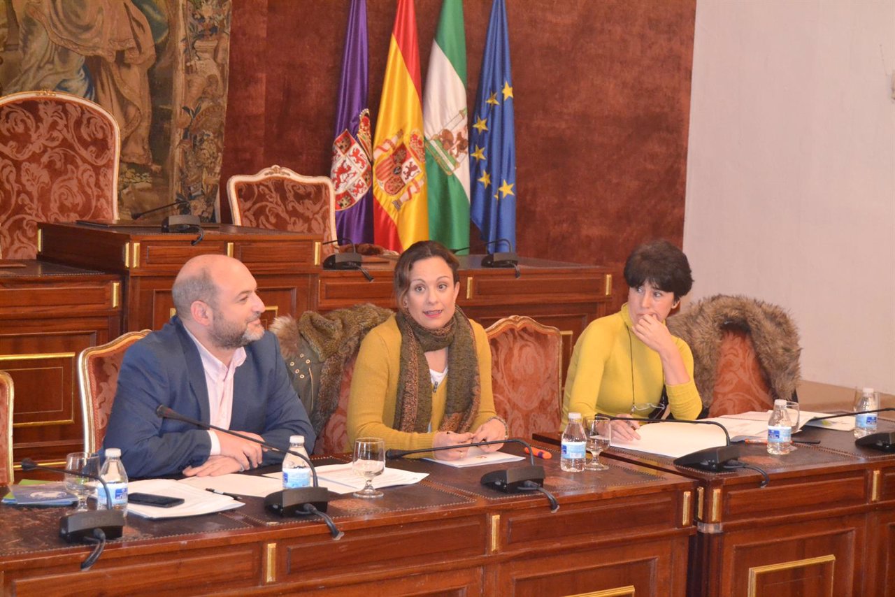 Reunión de la Diputación de Córdoba sobre cooperación al desarrollo