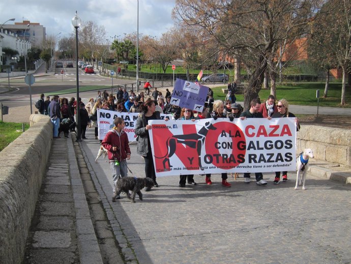 Manifestación en Mérida contra la caza con galgos