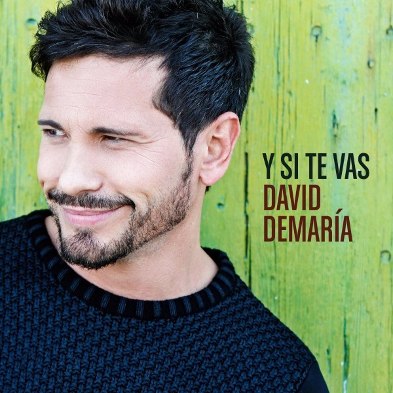 DAVID DEMARÍA