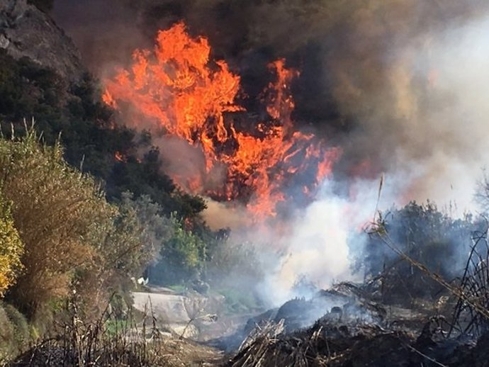 Imagen del fuego en Los Guájares (Granada)