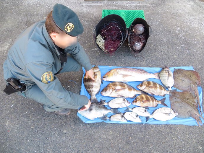 Pescado intervenido por el Seprona en Cabo de Gata