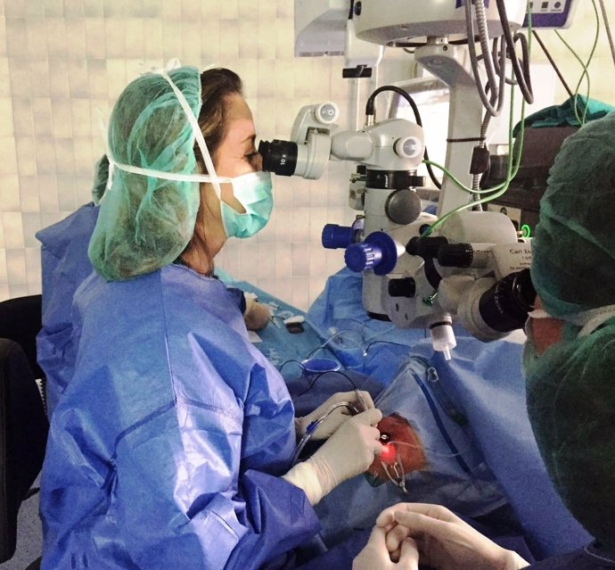 Premiada por sus avances en retina la unidad de oncología ocular del Macarena