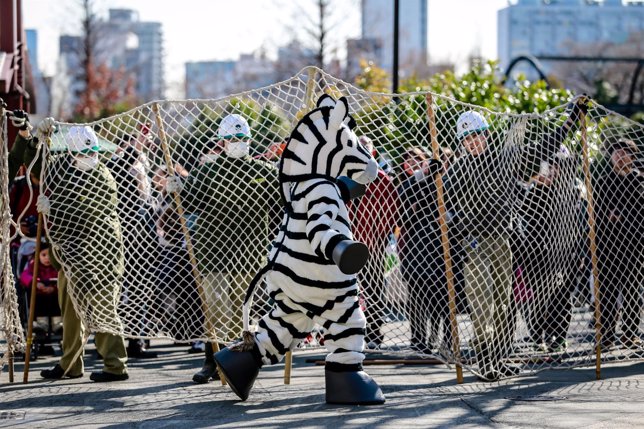 Trabajador Zoo de Japón vestido de cebra