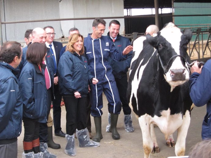 Susana Díaz en la visita a la explotación de Pozoblanco