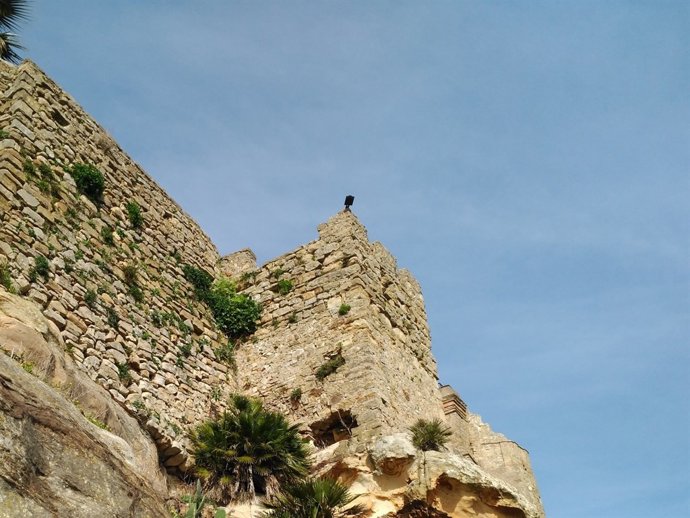 Ayuntamiento de Castellar pedirá a Junta actuar sobre la muralla del castillo