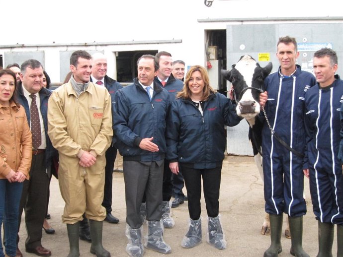Vídeo de la noticia
