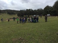 Liberados dos nuevos linces ibéricos en el área del río Guarrizas