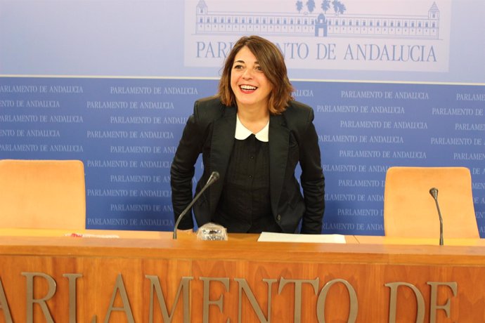 La portavoz adjunta de IU en el Parlamento, Elena Cortés, en rueda de prensa