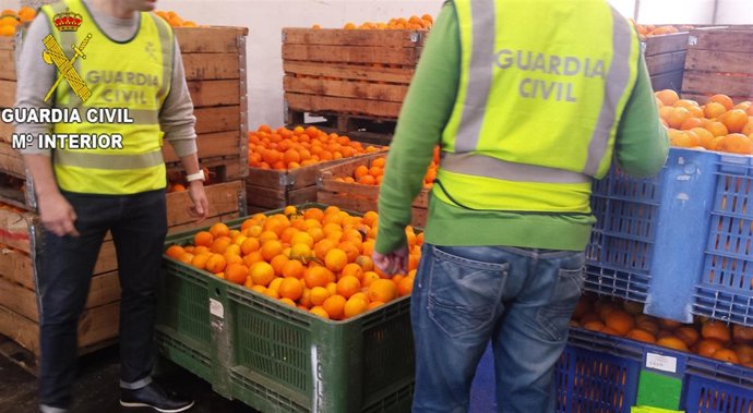 Naranjas recuperadas por la Guardia Civil
