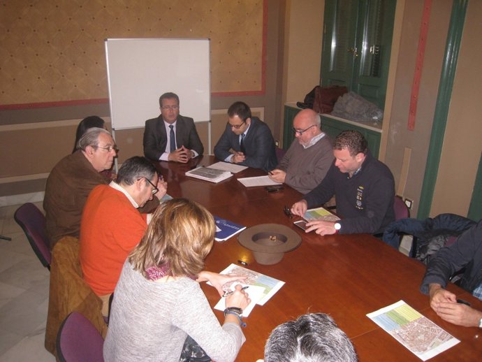 Cabrera preside la reunión.