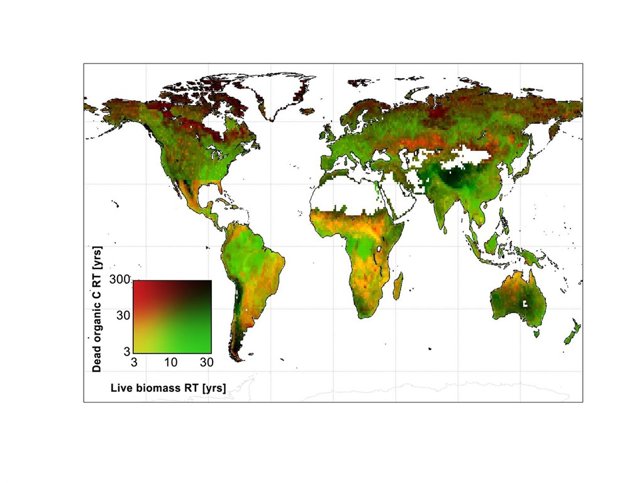 Mapa de suelos por retención de carbono