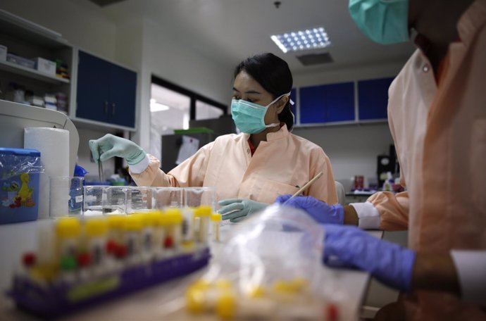 Lab technicians clean and prepare locally collected mosquitos before testing for