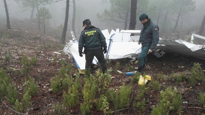 Dos agentes de la Guardia Civil observan la avioneta siniestrada. 