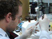 Asocian alteraciones en compuestos de la membrana celular con el Alzheimer