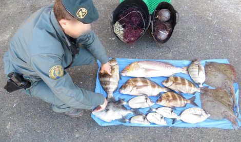 Cooperación y Desarrollo