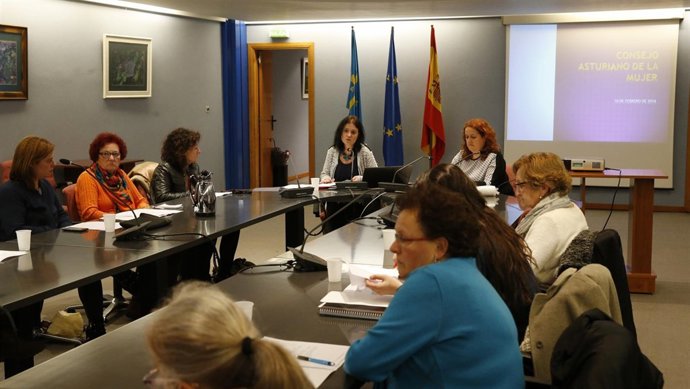 Consejo Asturiano de la Mujer. 