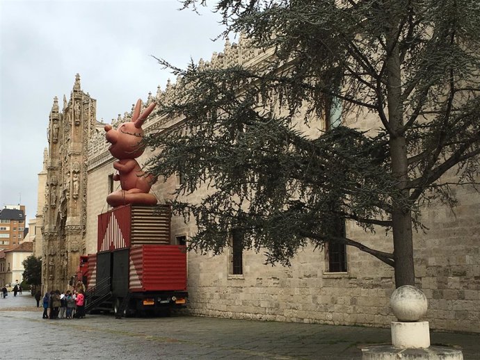 Imagen de la actividad