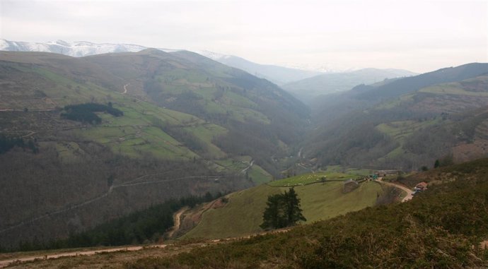 San Pedro del Romeral