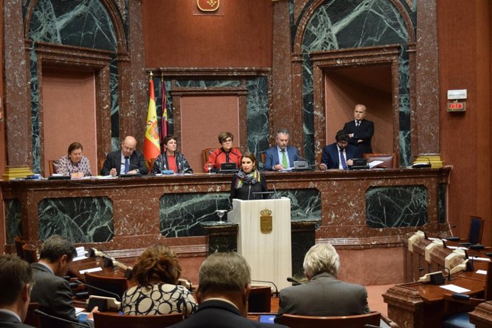 Pleno moción Mesa Turismo