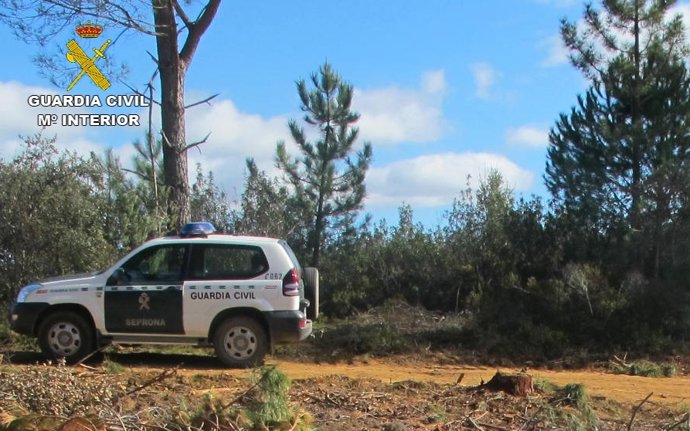 Efectivos de la Guardia Civil en la busqueda en la Sierra de Huelva