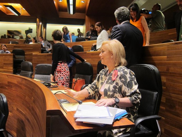 Mercedes Fernández, en la Junta General del Principado de Asturias