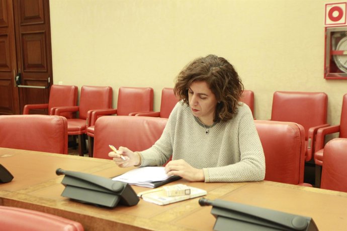 Irene Lozano en el Congreso
