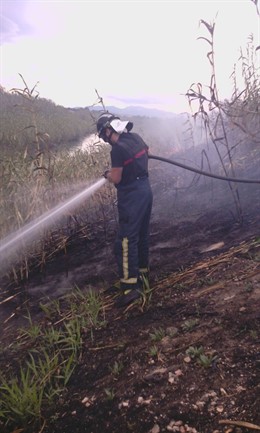 Numerosos incendios de cañas 