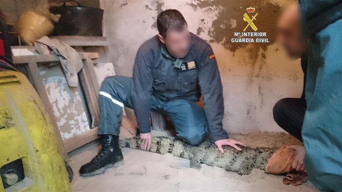 FOTO: Animales Exóticos Porriño