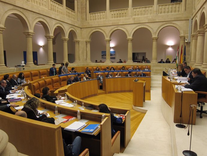 Sesión plenaria en el Parlamento regional