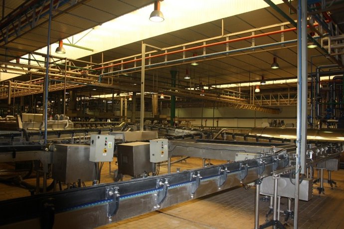 Planta de envasado de aceitunas de Dcoop