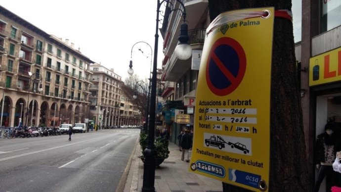 Cartel de sustitución de árboles en Jaime III