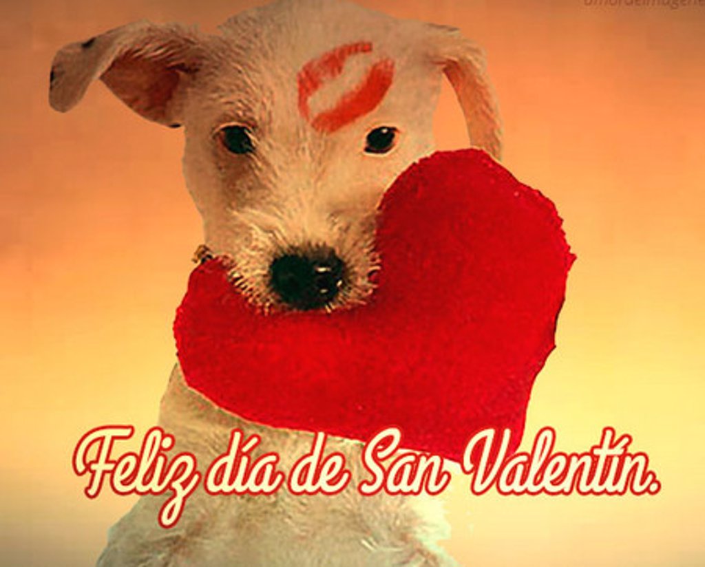 20 felicitaciones originales de San Valentín 2016 para enviar por WhatsApp