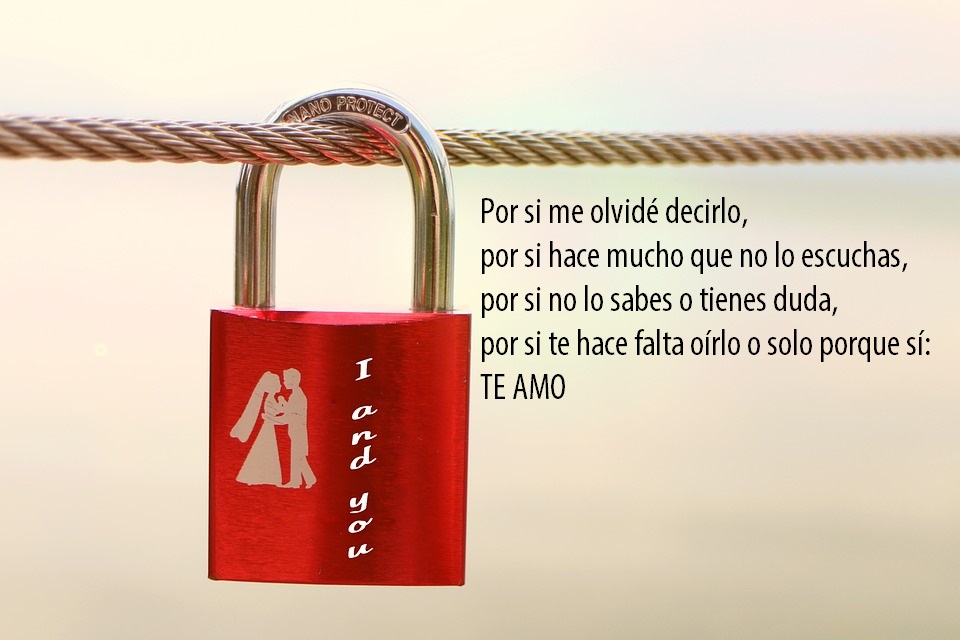 San Valentín 2018 10 Frases De Amor Bonitas Para Dedicar El Día De
