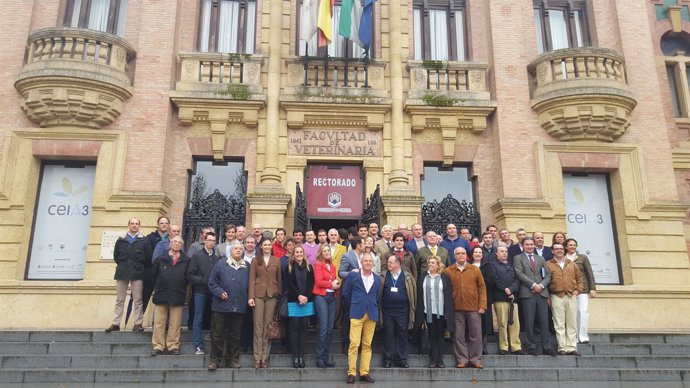 I Congreso Nacional de Doma Vaquera, en Córdoba