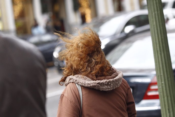 Recursos de viento, temporal, hojas, otoño