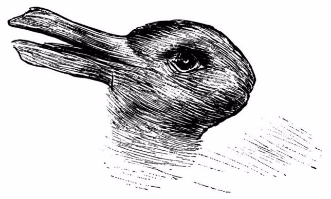 Ilusión óptica: ¿Pato o conejo?