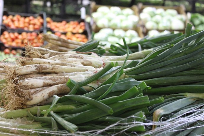 Calçots