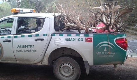 Cooperación y Desarrollo