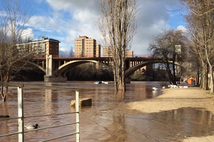 El río Pisuerga, este domingo, a su paso por el puente José G. Regueral