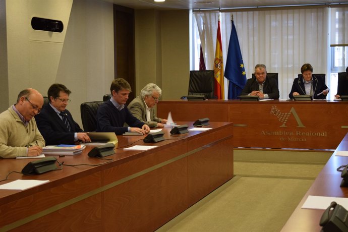 Reunión comisión Política Territorial