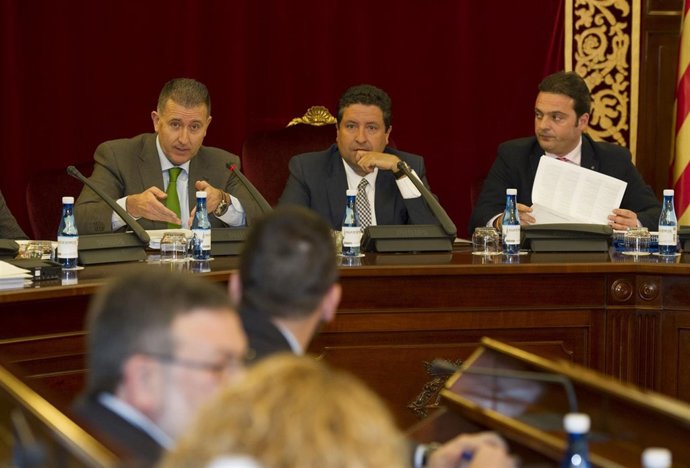 PLENO DE LA DIPUTACIÓN