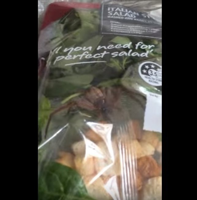 Araña dentro del envase de una ensalada