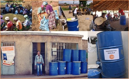 Divina Pastora Seguros colabora con CODESPA 