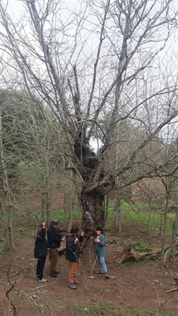 Un momento del rodaje en la Sierra de Posadas